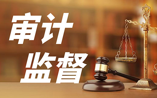 某省成立地方金融審計(jì)局和國(guó)有企業(yè)審計(jì)局 加強(qiáng)穿透式審計(jì)監(jiān)督