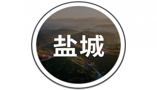   鹽城：設(shè)立30億的還貸過橋資金池、20億債務(wù)風(fēng)險(xiǎn)化解周轉(zhuǎn)金