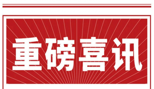 喜訊丨城望集團總經(jīng)理王廣慶先生再次獲聘臨邑縣政府投融資體制改革咨詢服務(wù)顧問！