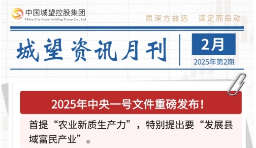 城望資訊2月刊丨中央一號文件重磅發(fā)布！全國首單數(shù)據(jù)資產(chǎn)作價(jià)入股落地？