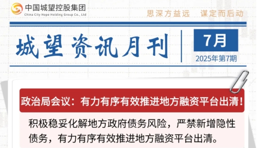 城望資訊7月刊丨有力有序有效推進(jìn)地方融資平臺(tái)出清！