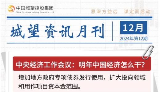 城望資訊12月刊丨明年中國(guó)經(jīng)濟(jì)怎么干？