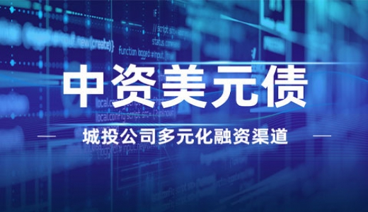 銳見(jiàn)丨城投公司多元化融資渠道——中資美元債