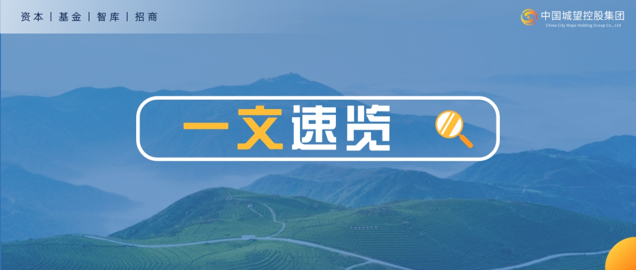 一文速覽